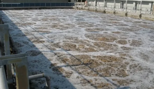 MBBR reaktör içinde medya doluluk oranı