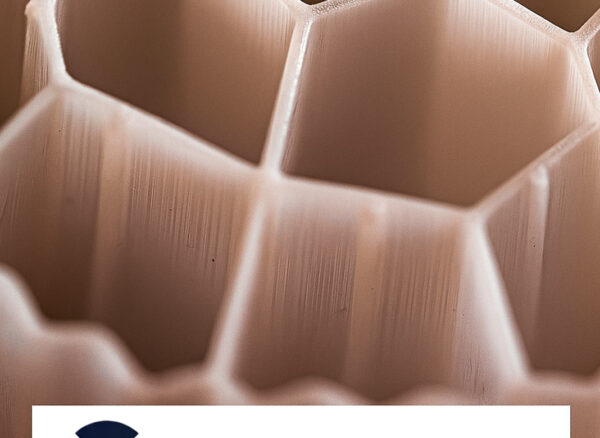 MBBR media structure internal geometry