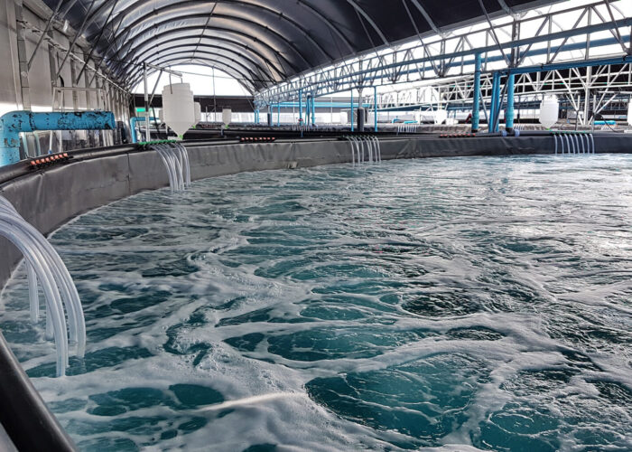 carrier media for RAS fish farm system